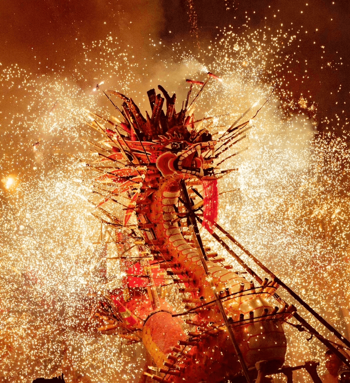 Festivals & Events
