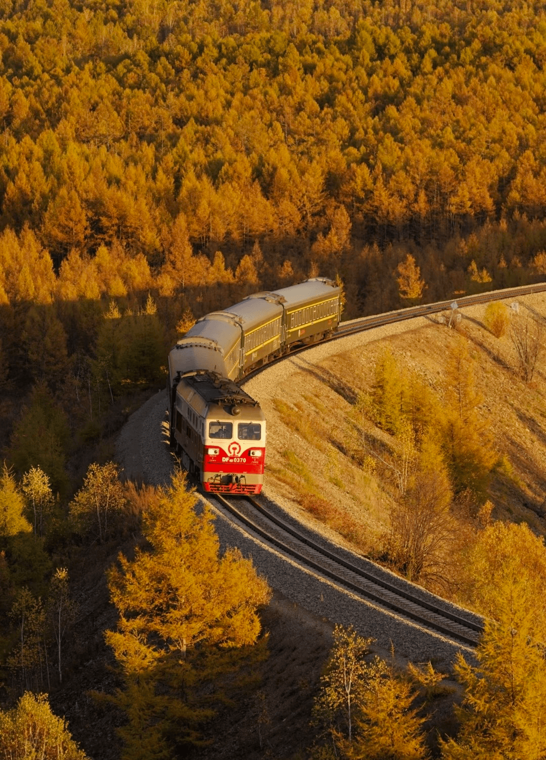 Scenic Railways
