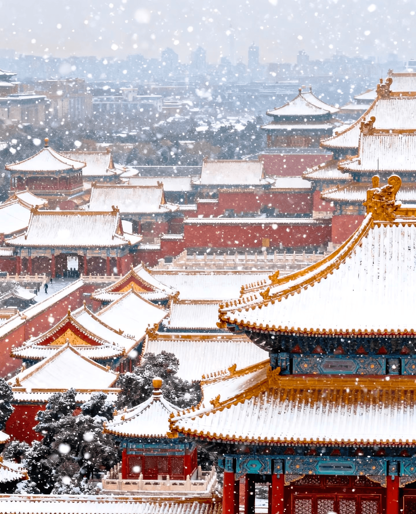 Winter Snowy Getaways