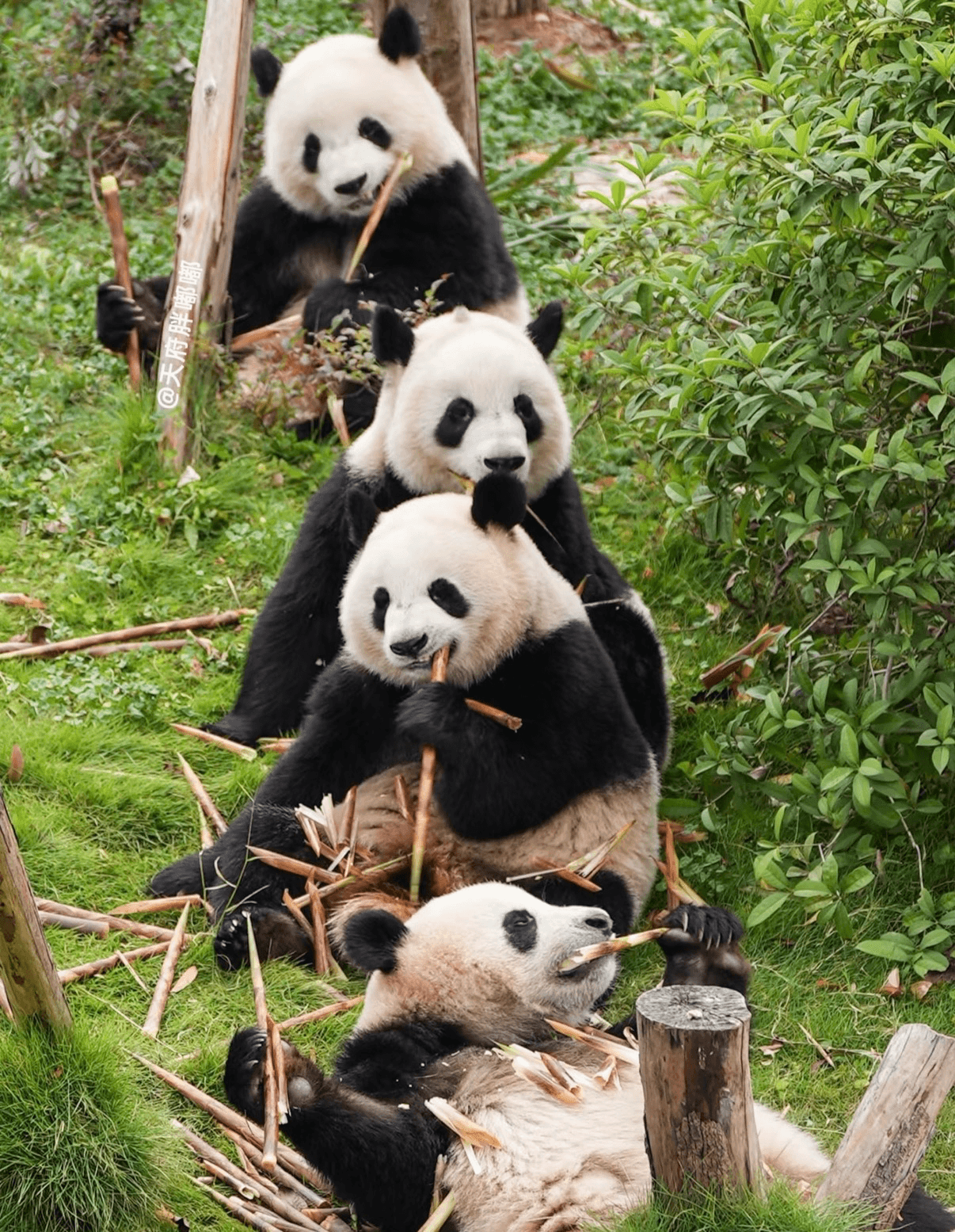Chengdu